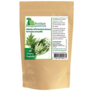 Acheter de l'armoise annuelle artemisia annua sur la boutique en ligne biologiquement.shop